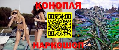 мдпв Гатчина