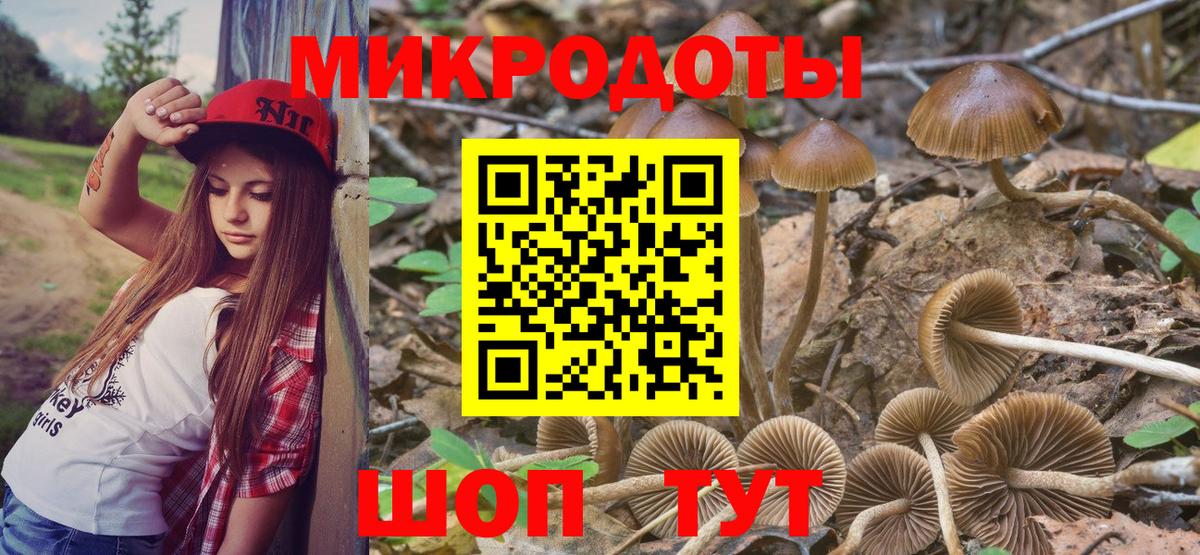 Галлюциногенные грибы Cubensis Бердск