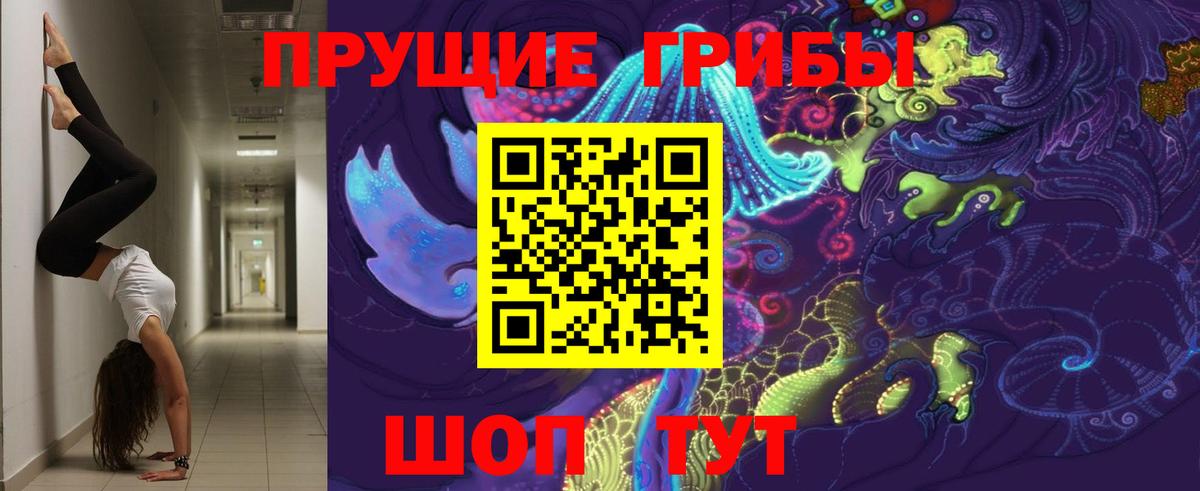 Бердск  Галлюциногенные грибы Psilocybine cubensis  где можно купить наркотик  Вход с VPN 